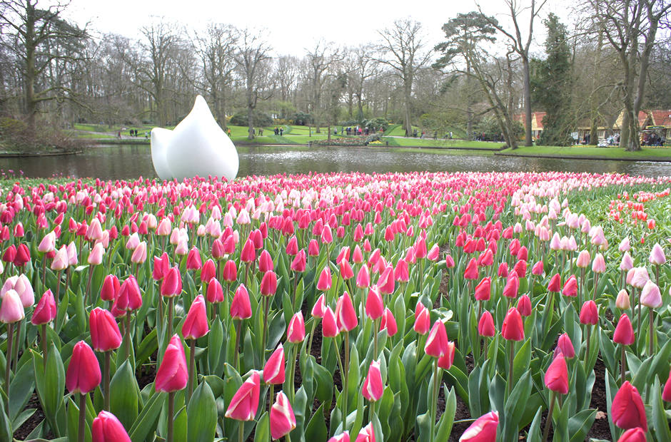 世界の春の絶景：2位　オランダ　キューケンホフ公園のチューリップ